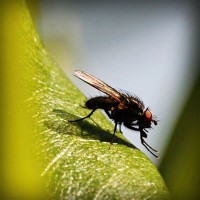 /album/embajadoresfc/photolia-a04-jpg/
