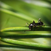 /album/embajadoresfc/photolia-a05-jpg/