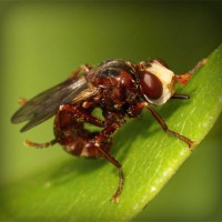 /album/embajadoresfc/photolia-a06-jpg/