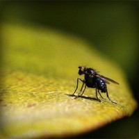 /album/embajadoresfc/photolia-a07-jpg/